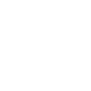 Custom Logo